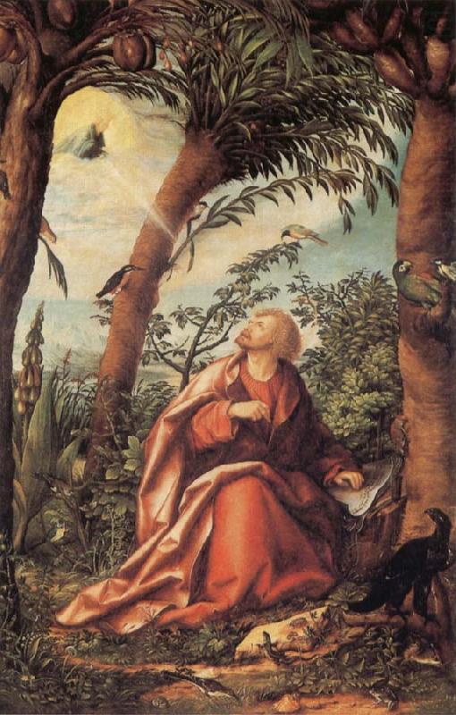 BURGKMAIR, Hans John the Evangelist on Patmos china oil painting image